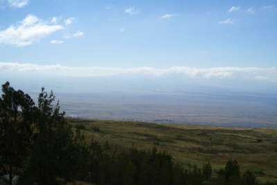 View of Maunaloa from Hwy 250