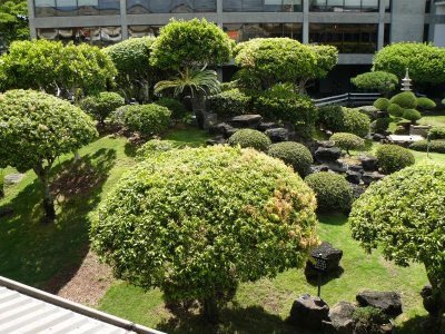 Airport Garden