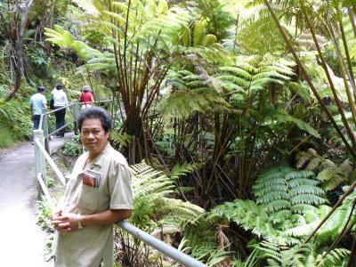 Thurston Lava Tube, Derrick