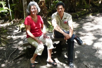 Just outside Thurston Lava Tube, Volcano