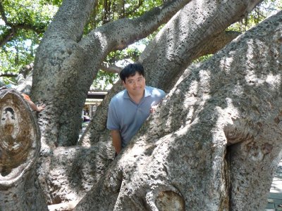 Chris among Banyan tree at Lahaina