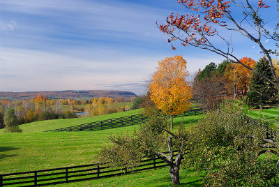 97 Hilltop Homestead.jpg