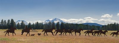 129 Sisters horses Pano.jpg