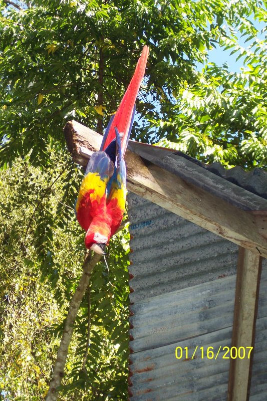 Costa Rica 017.jpg