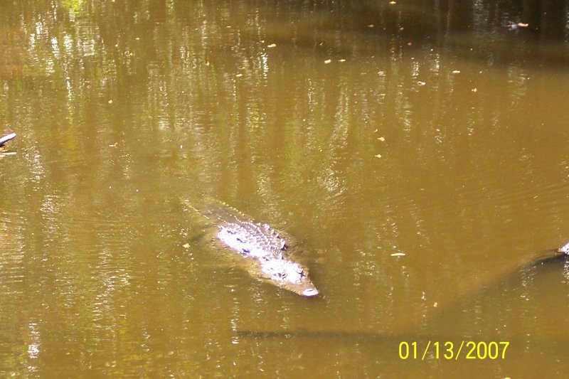 Costa Rica 296.jpg