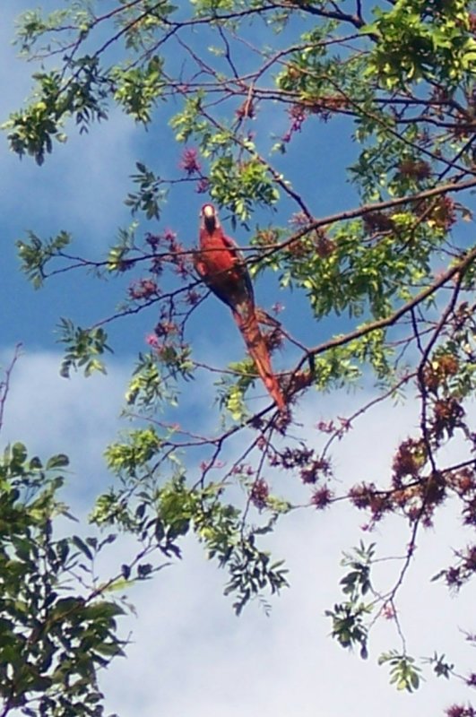 Costa Rica 319.jpg