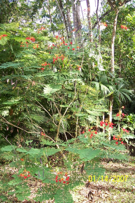 Costa Rica 362.jpg