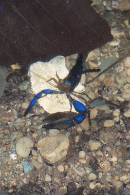 Costa Rica 137.jpg