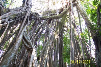 Costa Rica 118.jpg
