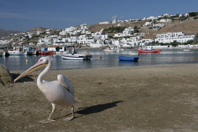 Mykonos  081.jpg