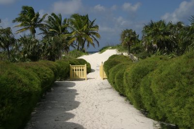 Pathway to the beach