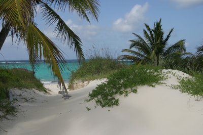 almost to the beach