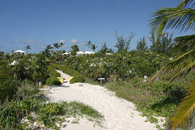 View back toward the house