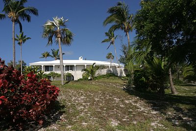 Looking up from the pool path