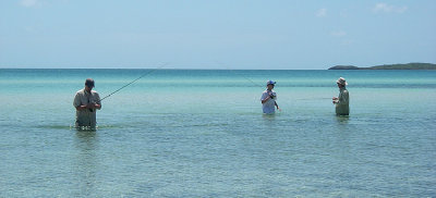In search of bonefish