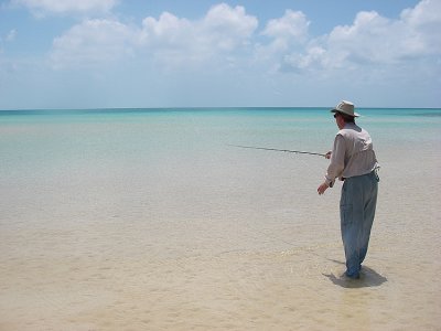 Is there a fish out there?
