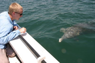 Joey the Dolphin comes in for a visit