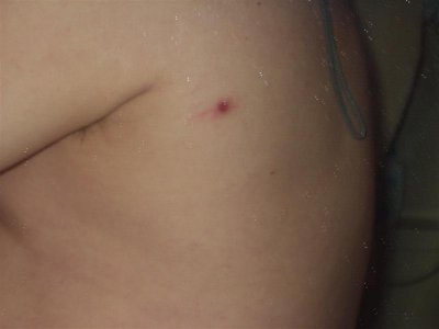 g6/48/346348/3/69604586.AawDcL30.jpg