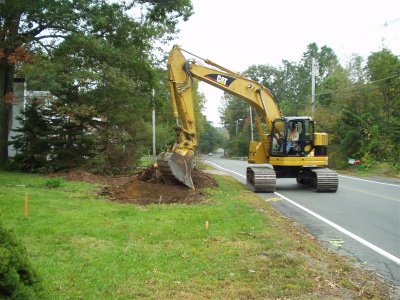 06 stump removal My 5 40' pine tree's :-(