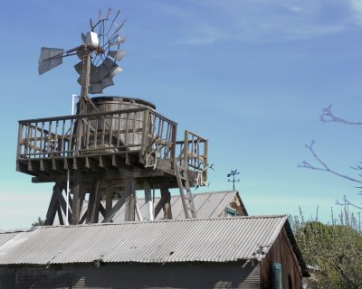 1628.jpg