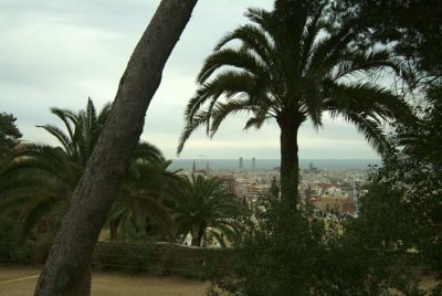 The Palm View by EJ