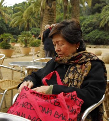 Bag Lady