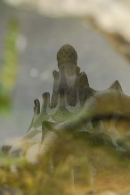 Reflection