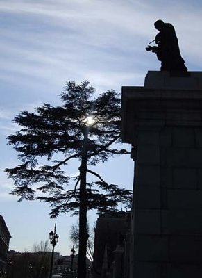 Backlight