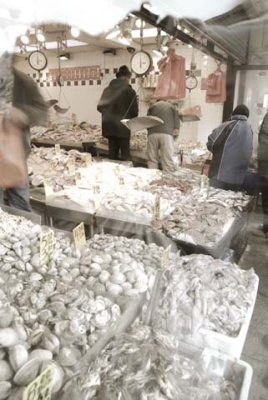 Fresh Seafood