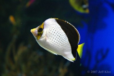 IMG_6943.jpg