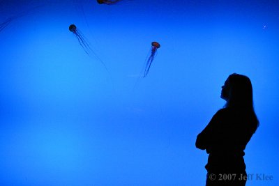 IMG_6949.jpg