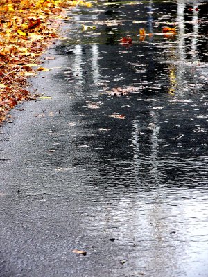 rainy day reflections - November 13th