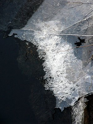 icy water ~ January 25th