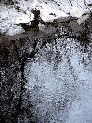 reflection of bleakness ~ February 3rd
