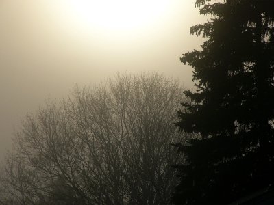 misty morning ~ May 8th