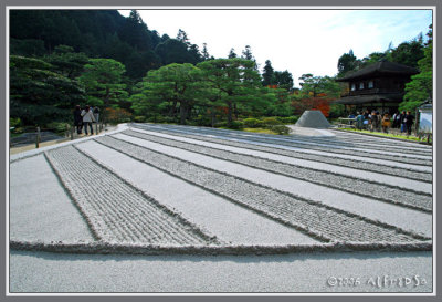 g6/48/456448/3/71962900.qNIsWOOt.jpg