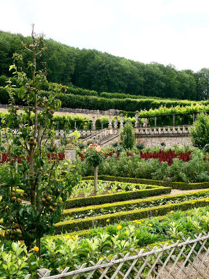 villandry vegetable garden