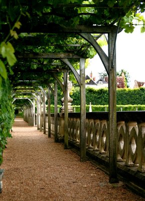 Chateau Villandry - under the grapevines