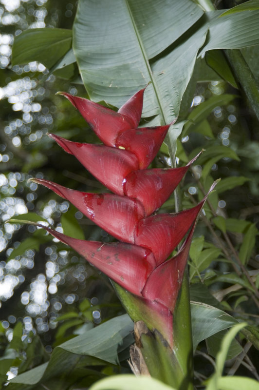 DSC_4102.jpg