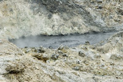 DSC_4092.jpg