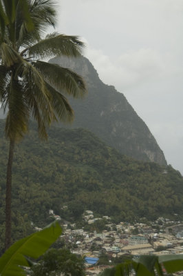 DSC_4126.jpg