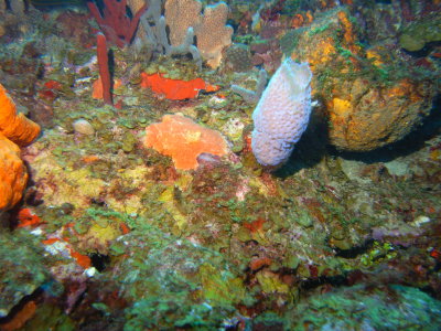 M0011310.JPG