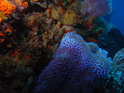 M0011311.JPG