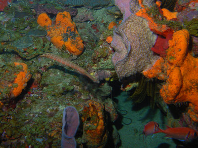 M0011318.JPG