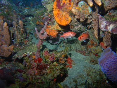 M0011325.JPG