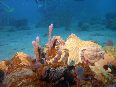 M0011329.JPG