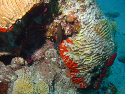 M0011332.JPG