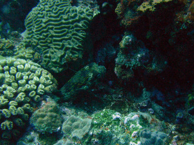 M0011342.JPG