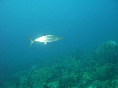 M0011344.JPG