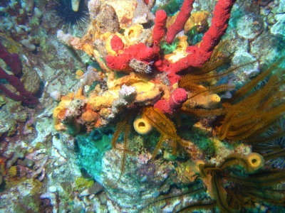 M0011345.JPG